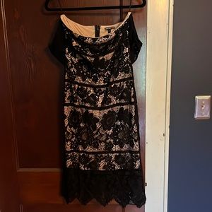 Express Lace Sheath Dress, Size 6